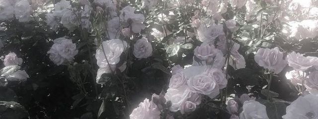 俊さんの壁紙画像