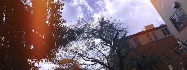 チュグさんの壁紙画像