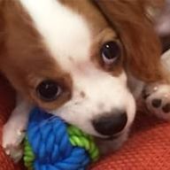 FUKUKAWAさんのアイコン画像