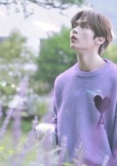 僕は木綿のハンカチーフで泣く僕が好きだった。それを見て笑う君はもっと好きだった。