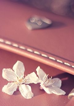 ちびまる子ちゃん