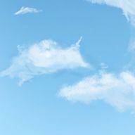 ありさんのアイコン画像