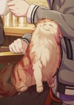 拝啓、頑張ってる貴方へ __。