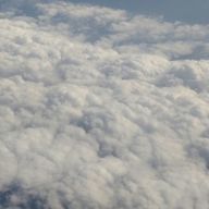 梨（更新頻度🐢）さんのアイコン画像