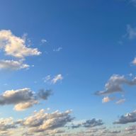 Sさんのアイコン画像