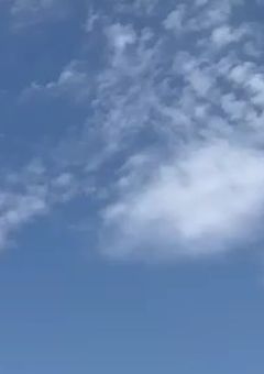 次の世界でも君を好きになる。(小説版)