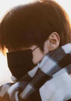 だから僕は、今日も猫をかぶる