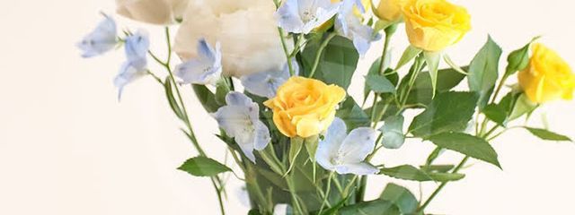 雷さんの壁紙画像