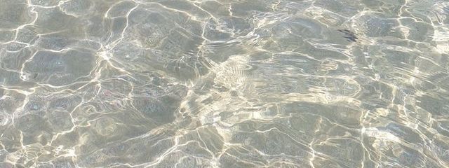 🐰さんの壁紙画像