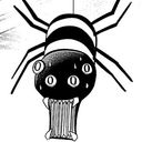 ケイソクグモ