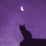 ELISAさんのアイコン画像