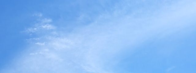 みこと🐰🐻‍さんの壁紙画像