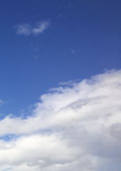 下僕の吸血鬼と混血の少年
