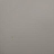 "''🐕♥🐇さんのアイコン画像