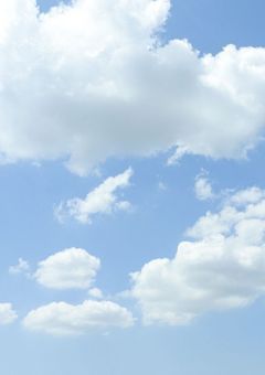 どうでもいい主のお話。