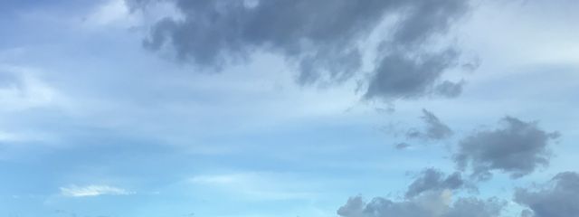 アオくん🧸さんの壁紙画像