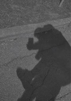 気まぐれ雑談...