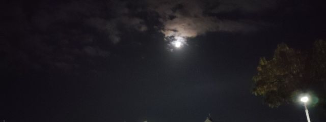 ayuさんの壁紙画像