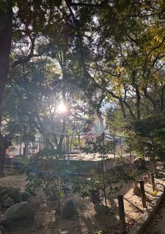 ใใใใผใฌใใใใ