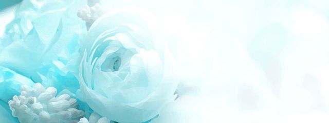 あーきのにんげん。さんの壁紙画像