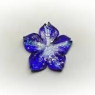 花葉瑠璃さんのアイコン画像