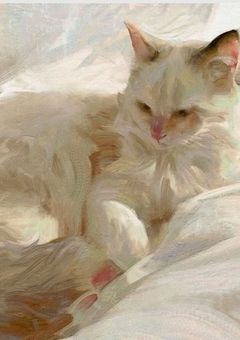 ❀ 猫又に転生したら溺愛された件 . 【MCT-A】