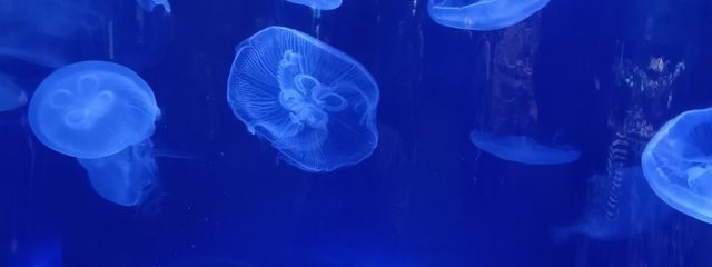 無言  ＠ フ ォ ロ バさんの壁紙画像