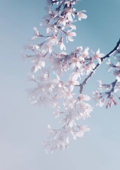 愛の言葉