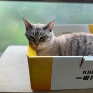 ライさんのアイコン画像