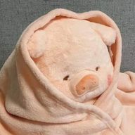 PigUsaさんのアイコン画像