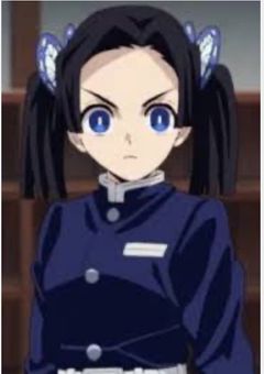 神崎アオイの唯一の妹は鬼殺隊の花柱でした！！