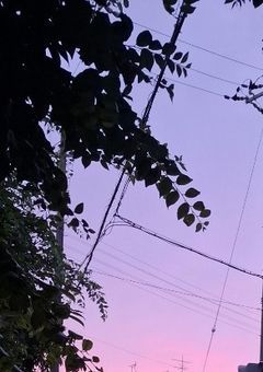 軽く事故紹介を、、