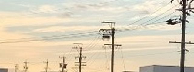 桜咲舞華さんの壁紙画像