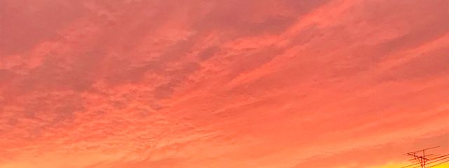 Shiori Honkawaさんの壁紙画像