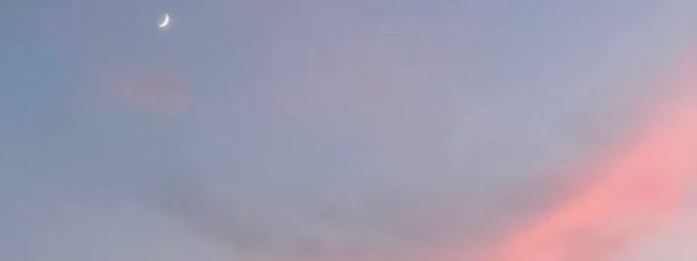 ゆんさんの壁紙画像