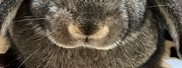 Nさん。さんの壁紙画像