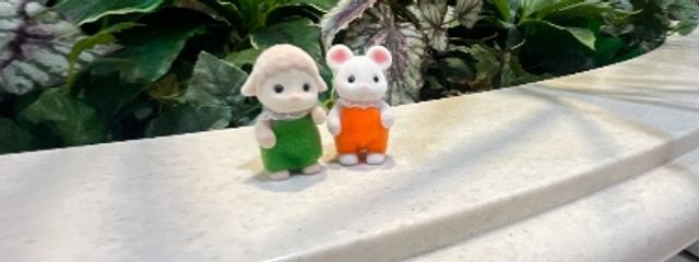 園花さんの壁紙画像