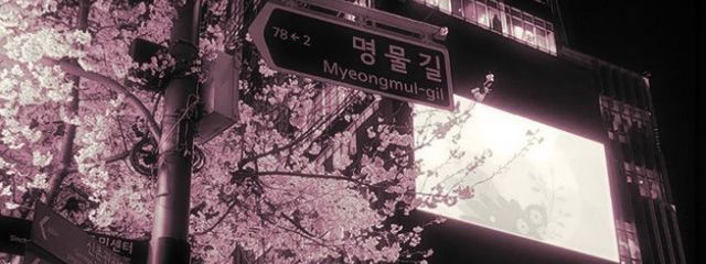 　　 早川🍥🖇さんの壁紙画像