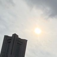 ここあさんのアイコン画像