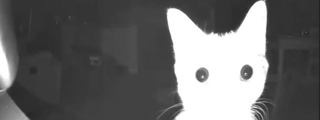 根狐谷。5月までフォロバするさんの壁紙画像