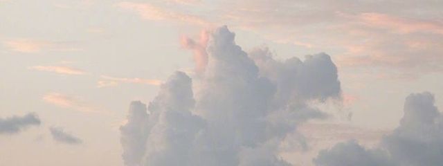 金木犀さんの壁紙画像