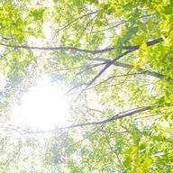 木洩さんのアイコン画像