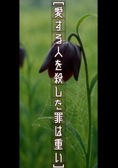 ［愛する人を殺した罪は重い］