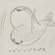 AINAさんのアイコン画像