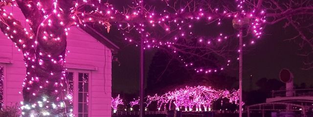 てみさんの壁紙画像