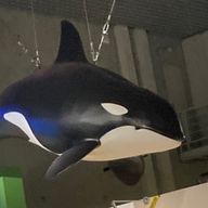 鈴の色んなことする垢さんのアイコン画像