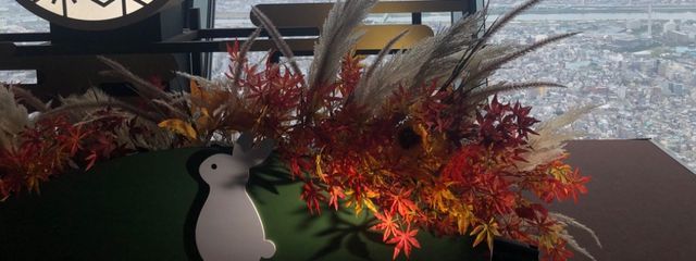 ひまりさんの壁紙画像