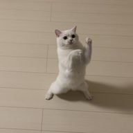 華さんのアイコン画像