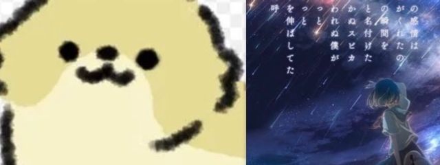 ポチ田&プチ田さんの壁紙画像