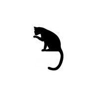 詩🐾🎶さんのアイコン画像